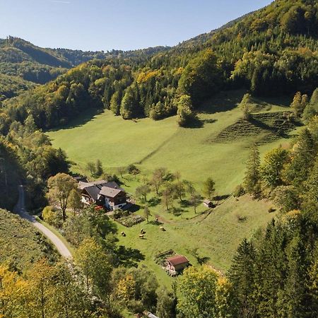 Urlaub Mitten Im Wald - Lueg Scheibbs Buitenkant foto
