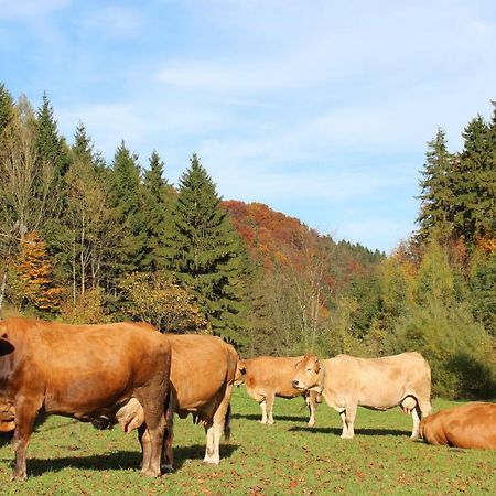 Urlaub Mitten Im Wald - Lueg Scheibbs Buitenkant foto