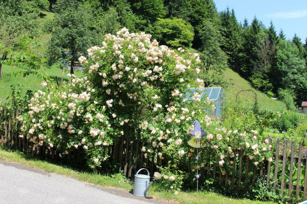 Urlaub Mitten Im Wald - Lueg Scheibbs Buitenkant foto