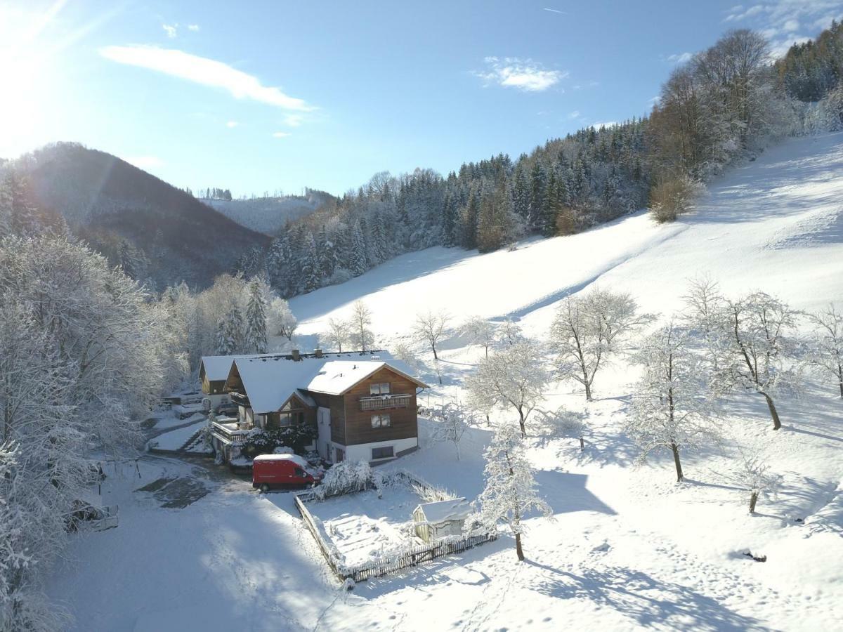 Urlaub Mitten Im Wald - Lueg Scheibbs Buitenkant foto