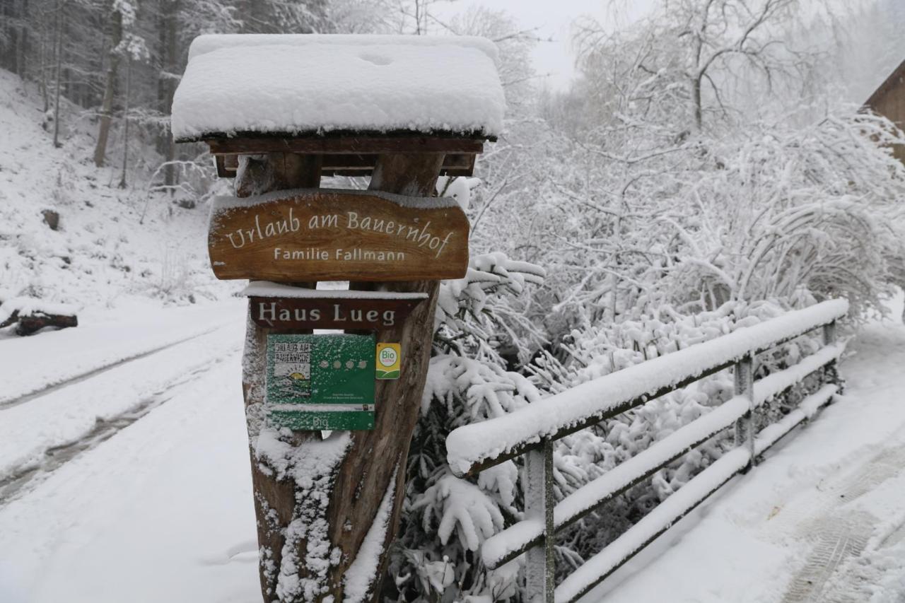 Urlaub Mitten Im Wald - Lueg Scheibbs Buitenkant foto